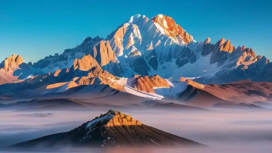 u=3398518975,3439404473&fm=253&fmt=auto&app=138&f=JPEG